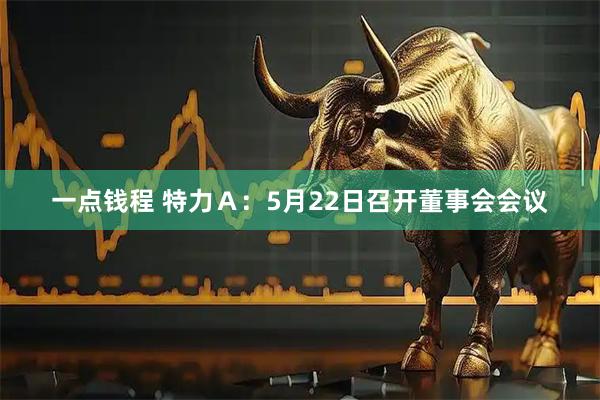 一点钱程 特力Ａ：5月22日召开董事会会议