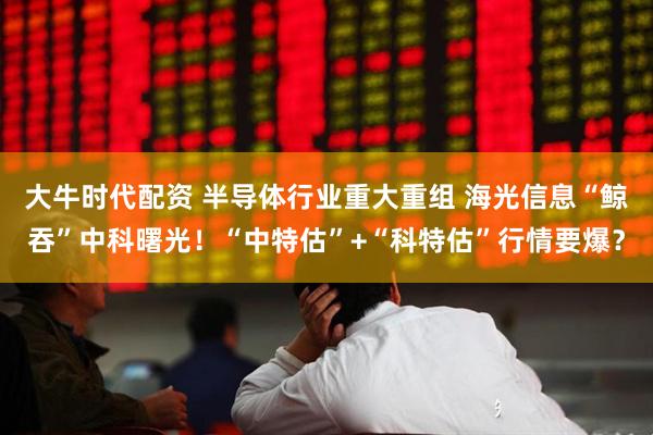 大牛时代配资 半导体行业重大重组 海光信息“鲸吞”中科曙光！“中特估”+“科特估”行情要爆？