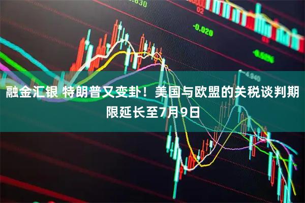 融金汇银 特朗普又变卦！美国与欧盟的关税谈判期限延长至7月9日