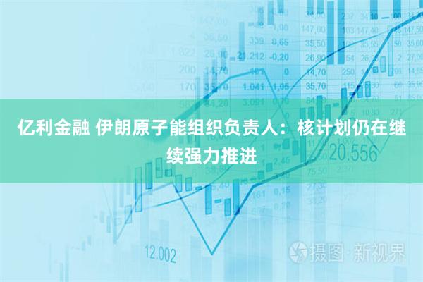 亿利金融 伊朗原子能组织负责人：核计划仍在继续强力推进