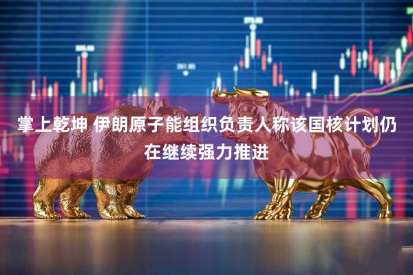 掌上乾坤 伊朗原子能组织负责人称该国核计划仍在继续强力推进